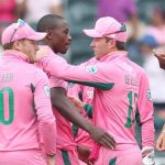 Proteas in Pink