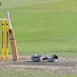 is Cricket just a batsman’s game