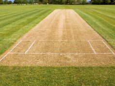 How Long is a Cricket Pitch